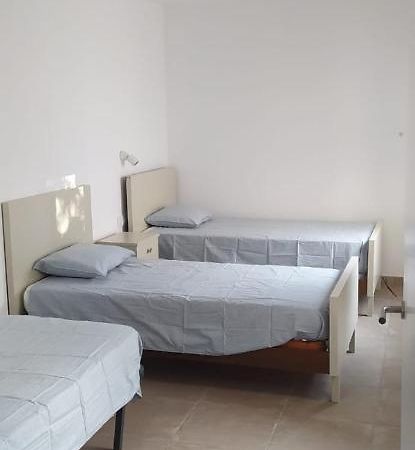 Pis Carretera Santa Pau Apartment Olot Ngoại thất bức ảnh