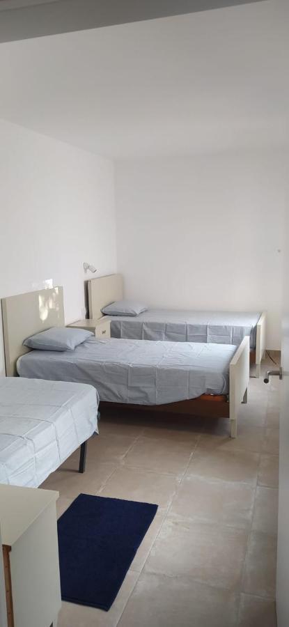 Pis Carretera Santa Pau Apartment Olot Ngoại thất bức ảnh